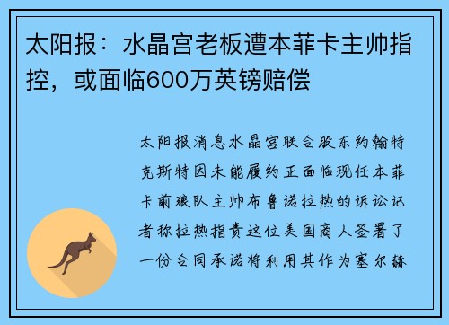 太阳报：水晶宫老板遭本菲卡主帅指控，或面临600万英镑赔偿